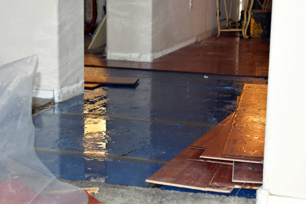 Professional Water Damage Restoration technician working in Hamilton, WA